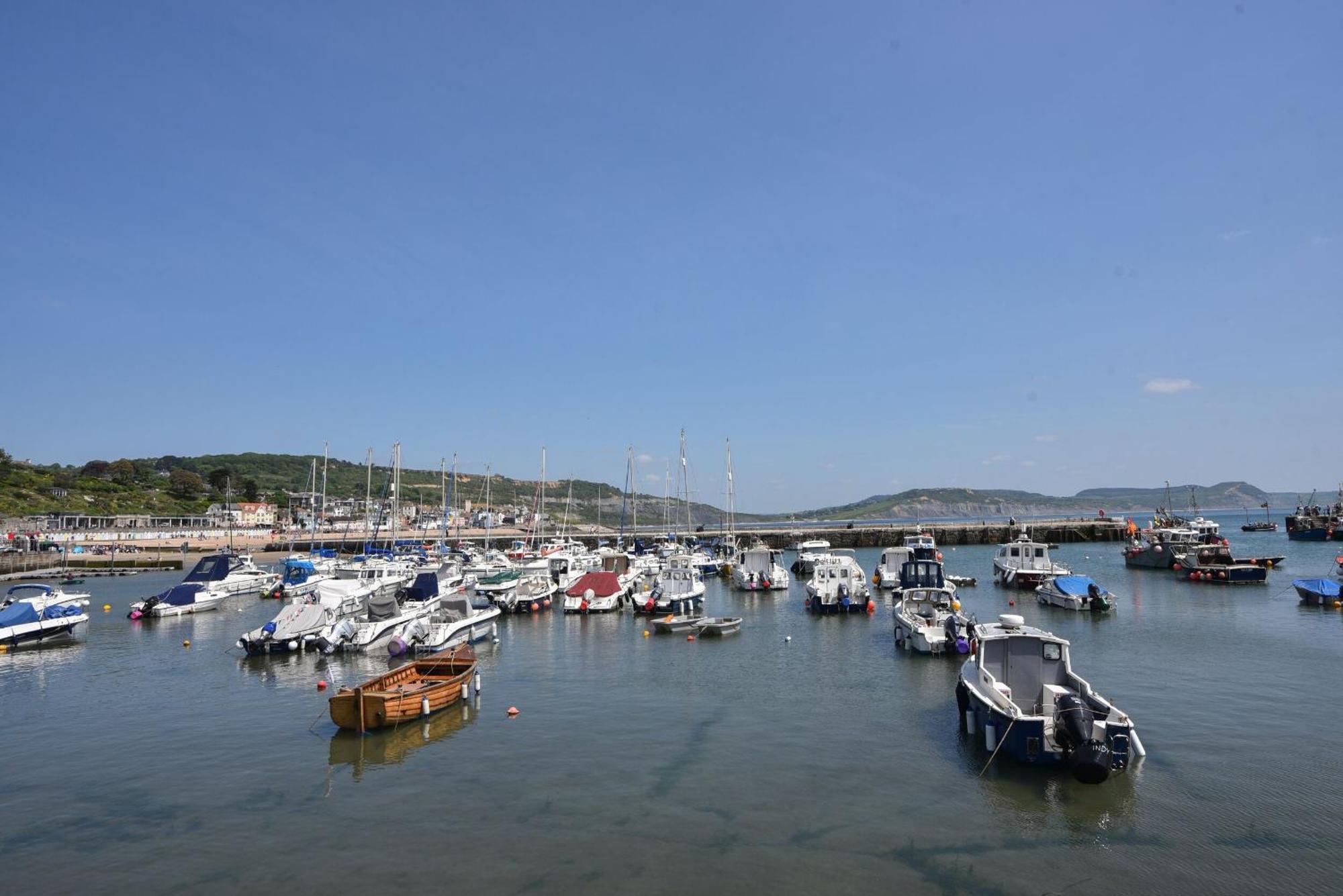 Ronita Villa Lyme Regis Exteriör bild